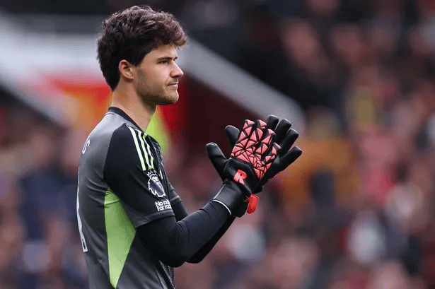 他发任何和, 习惯 他发任何和, 习惯